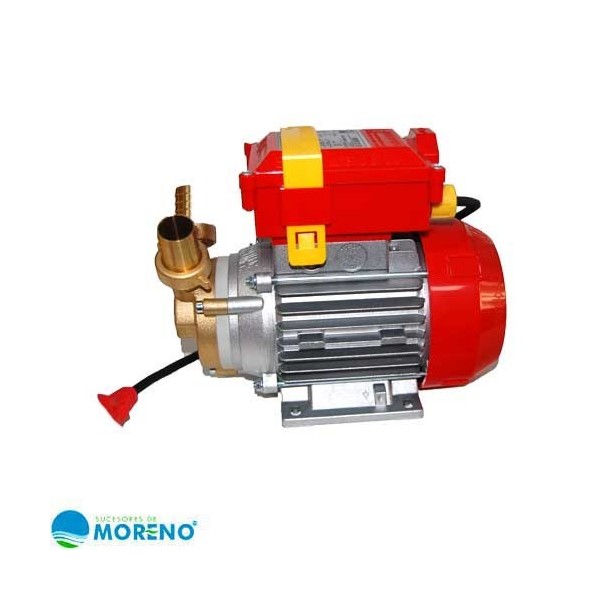 Electrobomba Rover 25 CE