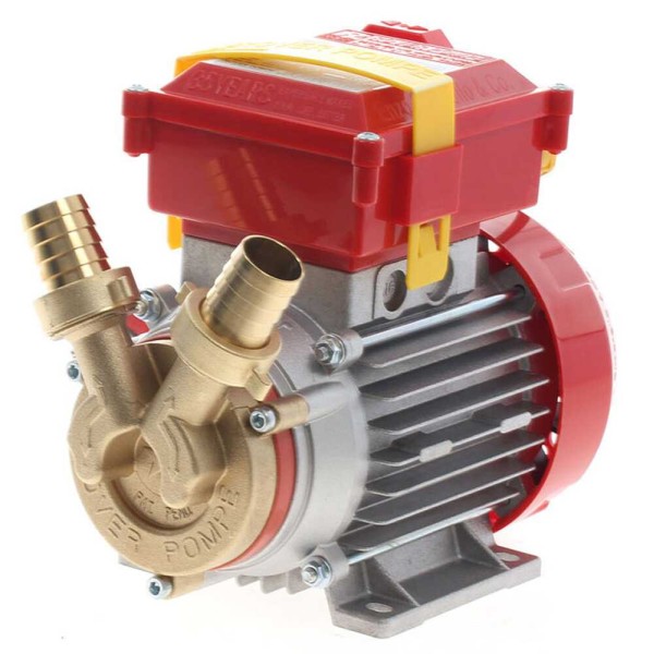 Bomba de trasiego Rover 25 CE