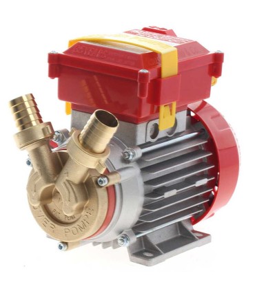Bomba de trasiego Rover 25 CE