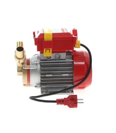 Bomba de trasiego Rover 25 CE