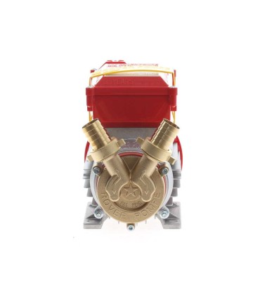 Bomba de trasiego Rover 25 CE