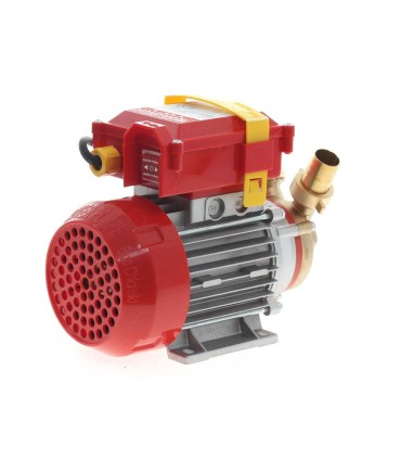 Bomba de trasiego Rover 25 CE